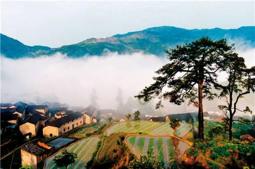 杨淑丽当选宁夏回族自治区政协副主席